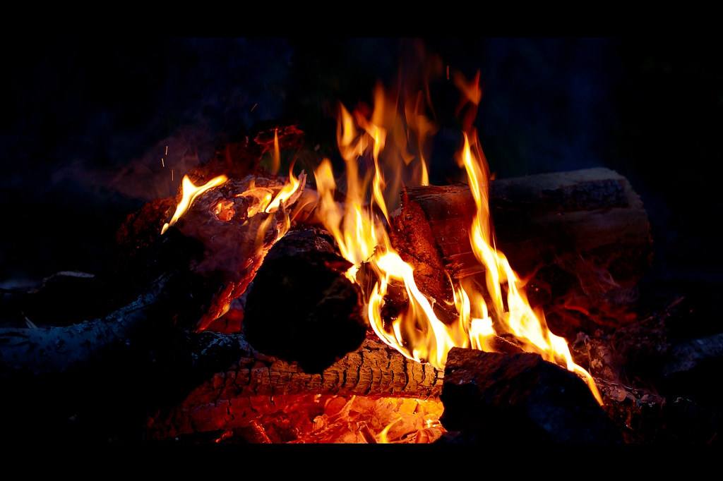 Feu de camp en stage de survie