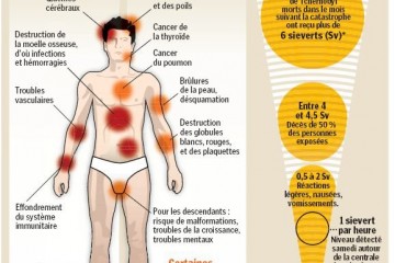 Risques nucléaires : effets des radiations